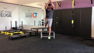 Matthew Ibrahim | Rear Foot Elevated (RFE) Split Squat Jump w/ Stick