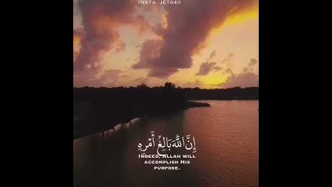 Whoever fears Allah - he will make for him a way out