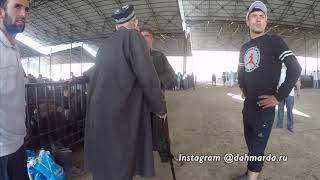 Посещение рынка овец вместе с Ходжимирзокаримом Мирзорахимовым. Июнь 2018