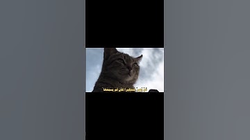 آيات من القرآن الكريم بصوت جميل جدا #السعودية #المغرب #مصر #فلسطين #اكسبلور #قرآن