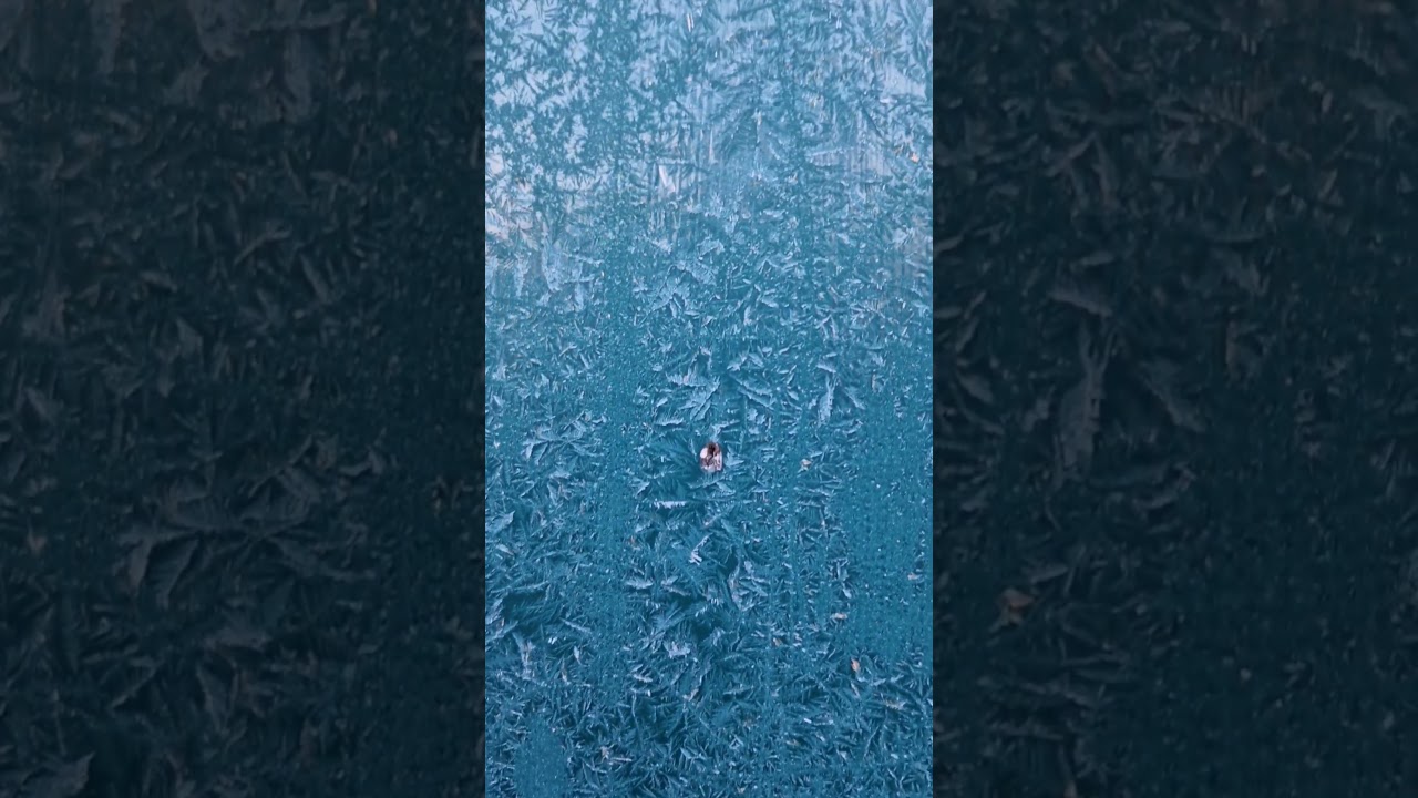 Frosted patterns on the door                                          