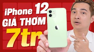 iPhone 12 bây giờ đã NGON - BỔ - RẺ hơn rồi !!!