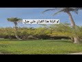 لو انزلنا هذا القرآن على جبل السيد سعيد