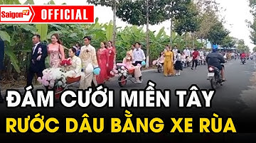 Đám cưới miền tây CHÚ RỂ rước dâu bằng XE RÙA khiến ai cũng PHẤN KHÍCH | Tin tức SaigonTV