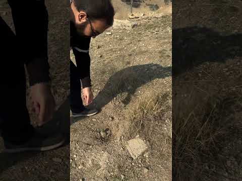 قبرستان ارامنه جاده تلو سمت لواسان     