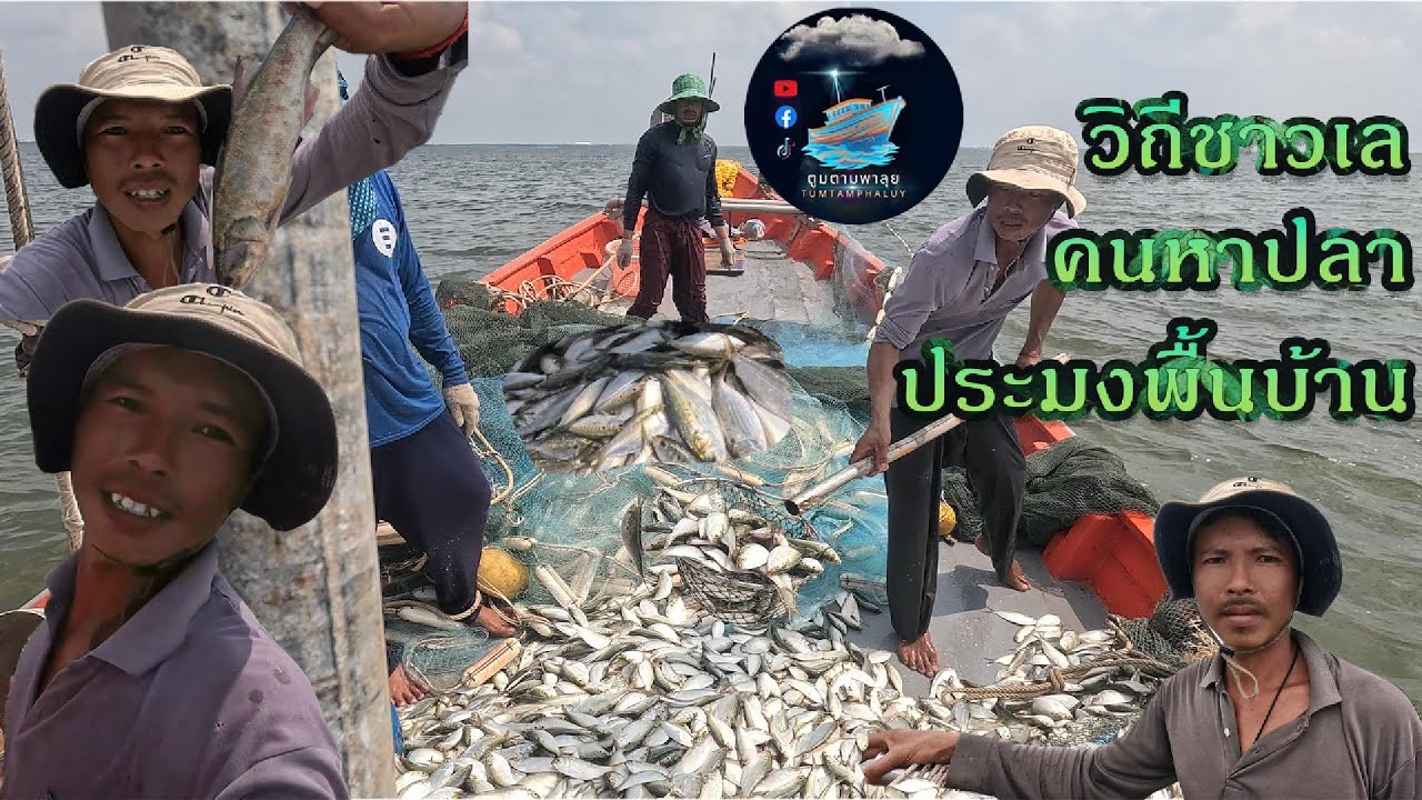 ตูมตามพาลุย EP.18 วิถีชาวเล “เรือล้อมปลา” ประมงพื้นบ้าน