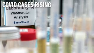 Santa Clara County COVID Levels Rising in Wastewater Samples