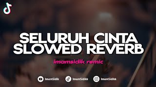 Dj Seluruh Cinta Slowed Reverb Fyp Tiktok Imamsidik Remix 2026