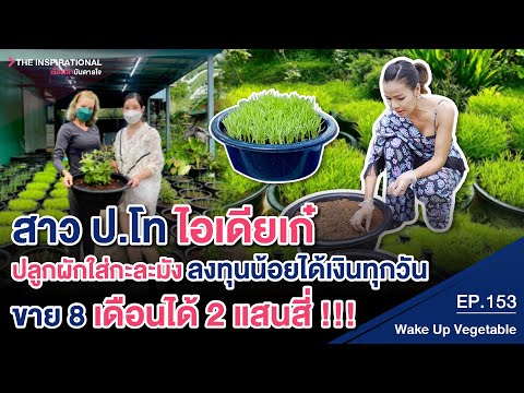 วีดีโอ: มอบชุดอุปกรณ์ทำสวนกินได้ – ไอเดียของขวัญสำหรับปลูกผัก