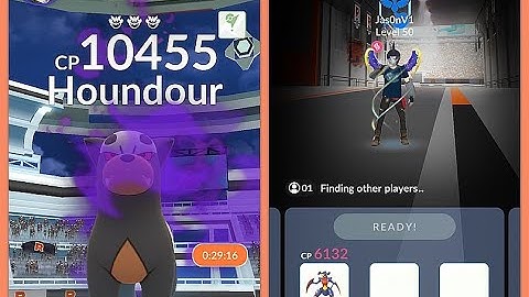 Houndour VS Mega Garchomp - 1v1 Level 3 Shadow Raid Boss Solo