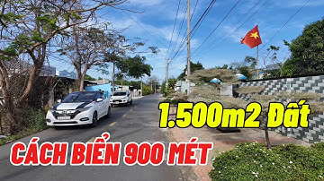 Bán Đất Gần Biển Phước Hải Bà Rịa Vũng Tàu 1.500m2 Cách Biển 900 Mét