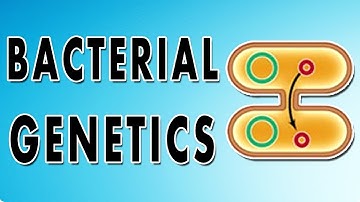 Transformation, Conjugation, Transposition and Transduction