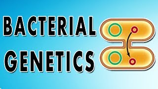 Transformation, Conjugation, Transposition and Transduction