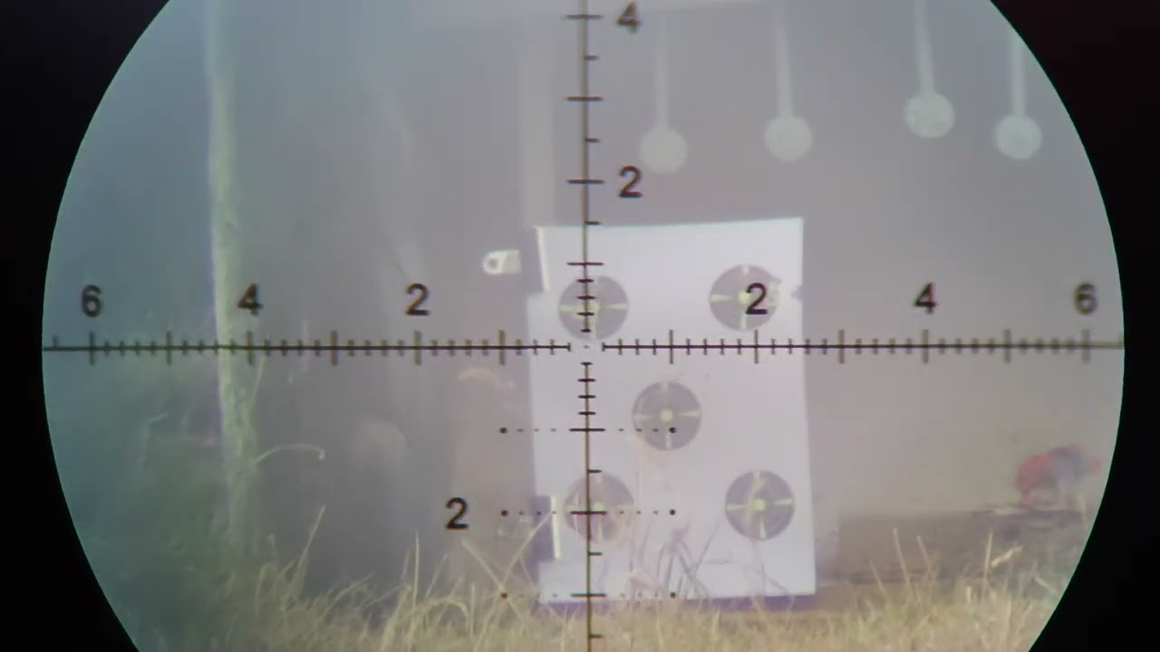 FX Panthera with 50gn altaros slugs @910fps