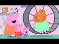 Doctor Hamster&#39;s New Hamster Wheel 🐹 | Peppa Pig Official Full Episodes