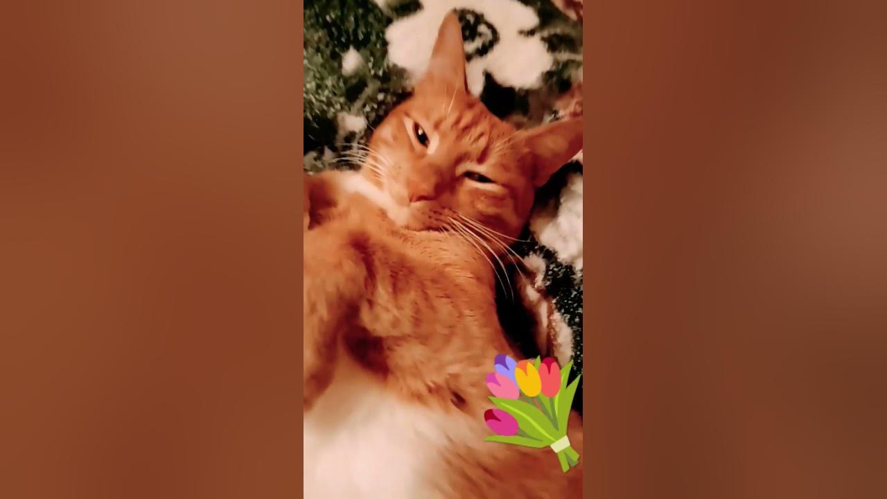 привет из Москвы🥰 😇😁 - YouTube