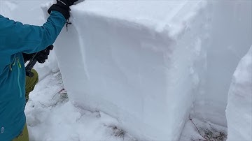 Two very unstable weak layers, S. Gallatin Range - 30 Jan 2021