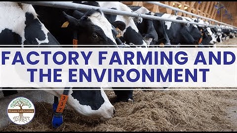 Factory Farming and the Environment - Science lesson video
