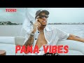 Tekno Pana Vibes Official Audio 