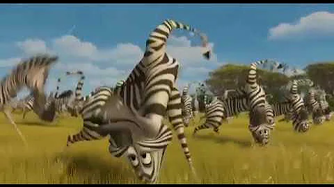 Мадагаскар 2  Мартин и зебры