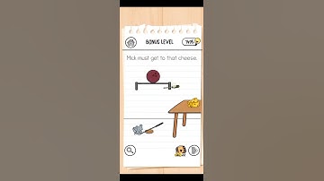 Brain Test 3 - Tricky Quests BONUS LEVEL Solved