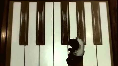 Interactive Floor in Shopping mall. Virtual Piano.