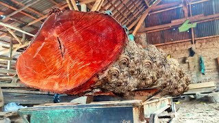 Beban berat yang dialami tukang kayu di tempat penggergajian kayu