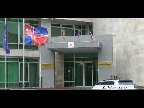 გორის მუნიციპალიტეტის მერიის პროგრამა 26.01.2022