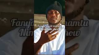 #turudiane #tlending #limix