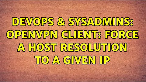 DevOps & SysAdmins: openvpn client: force a host resolution to a given IP