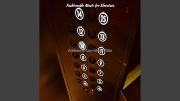 Pulsating Jazz Trio - Vibe for Going Up and Down