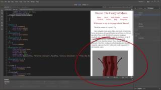 9. Working With HTML in Dreamweaver