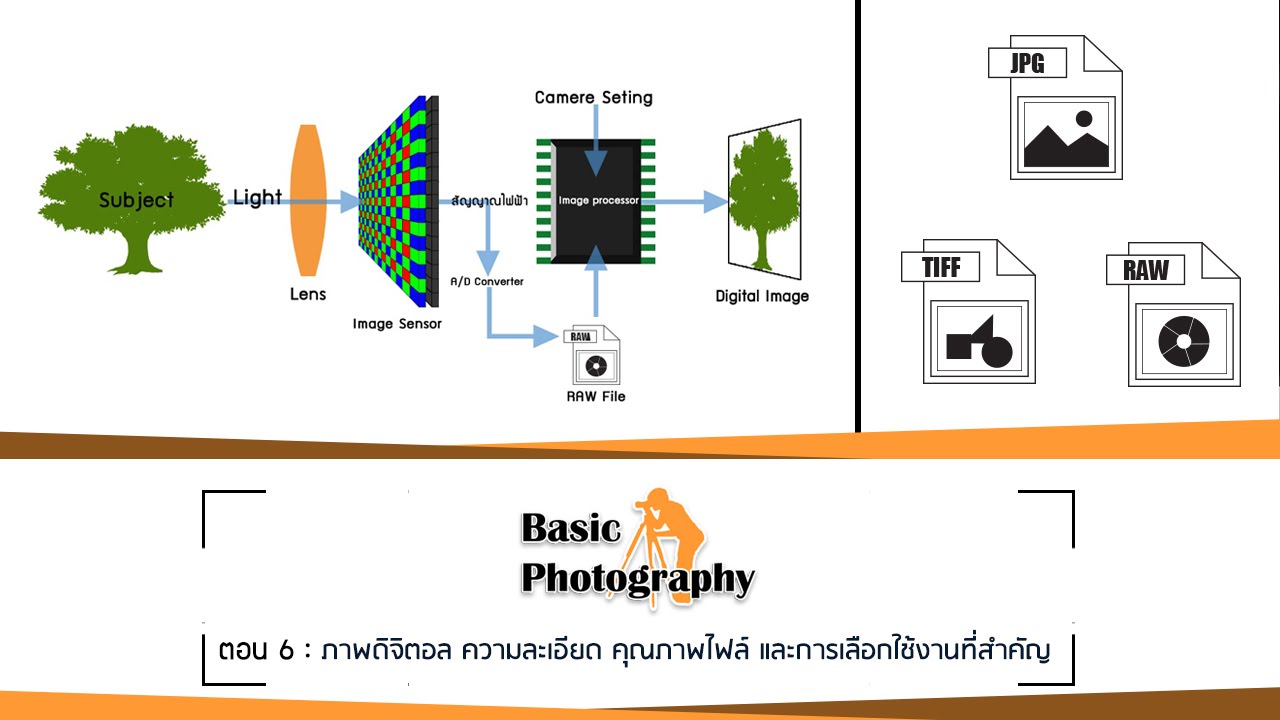 Basic Photography EP.6 : ภาพดิจิตอล ความละเอียด คุณภาพไฟล์ และการเลือกใช้งานที่สำคัญ