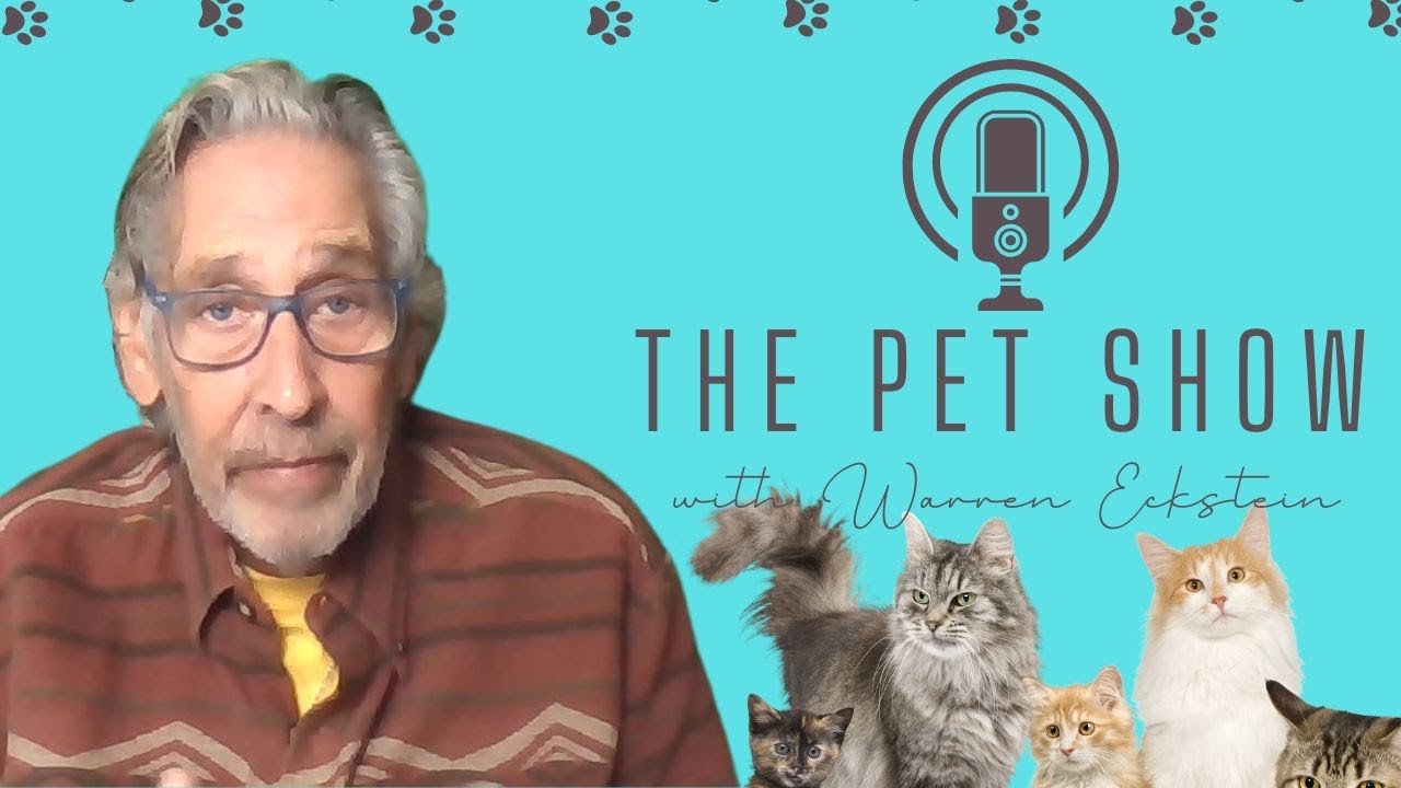the-pet-show-update-11-18-22-youtube