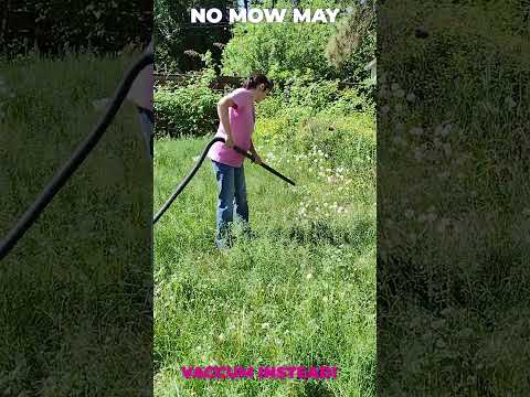 Видео: Без суетене тревни площи с трева Zoysia - Градинарство ноу-хау