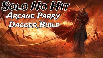 No Hitting Malenia With Parry Dagger Build