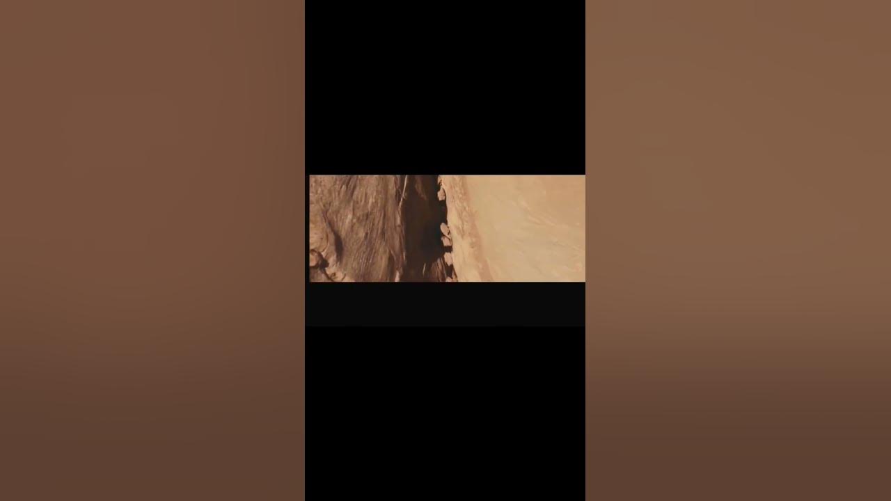 127 hours explained amazingfacts youtube