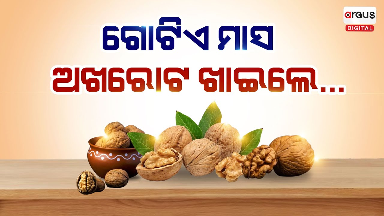 ଅଖରୋଟକୁ କାହିଁକି କୁହାଯାଏ ସୁପରଫୁଡ ? | Walnuts | Healthy Lifestyle | Argus Digital