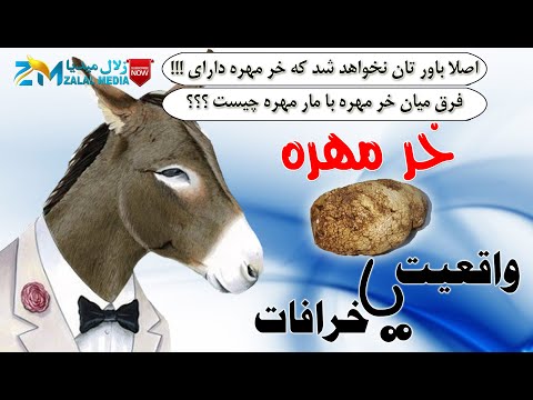 تصویری: فرق خر و خر چیست؟