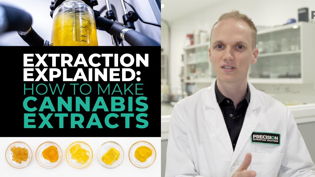 Extraction Explained: How To Make Cannabis Extracts - Live Resin, Shatter, Craft Concentrates \U0026 More