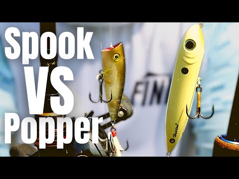What Is The BEST TOPWATER Lure?? (Spook VS Popper) 
