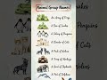 Animal group Names #gk#trending#education#shorts#short#youtube#youtubeshorts#ytshorts#ytshort#yt
