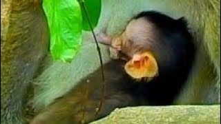 Little Draya Sleep Grab Her Milk Adorable Baby Nature Baby