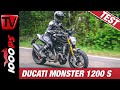 Ducati Monster 1200 im Test - Übersicht Monster Palette - Kaufberatung
