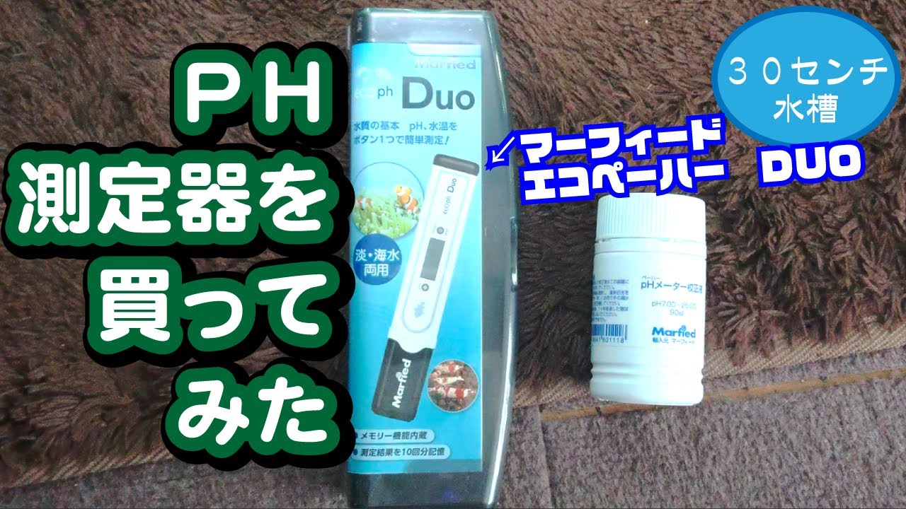 30センチ水槽 Ph測定器を買ってみた Youtube