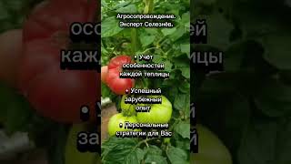 Агросопровождение. Эксперт