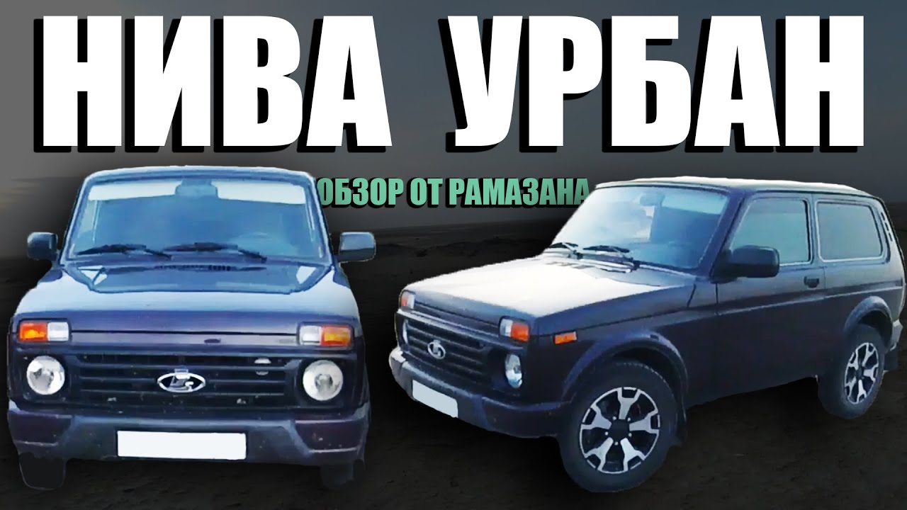 Бородач про ниву