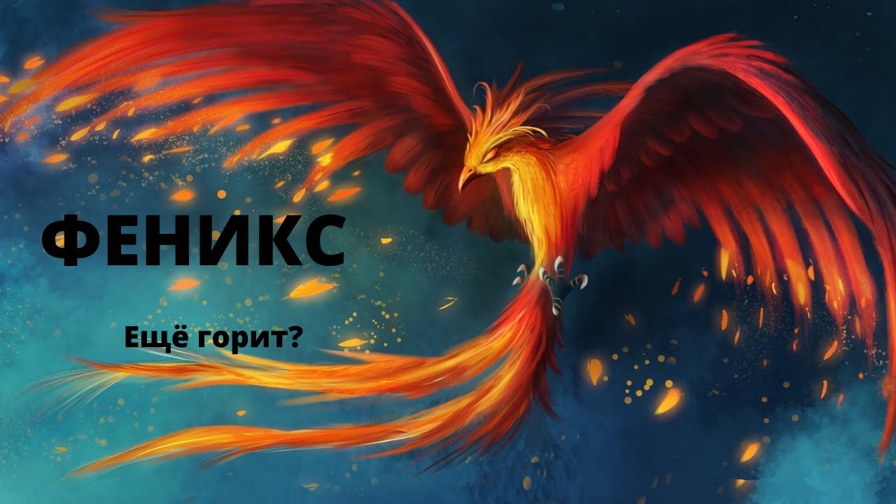 На капоте феникс