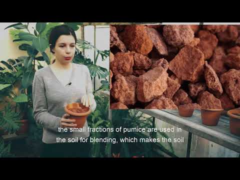 ნიადაგის ნაყოფიერების შენარჩუნება