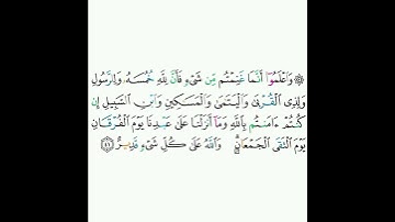 8 - سورة الأنفال ٤١ - علي الحذيفي